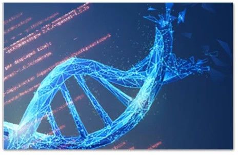 Einzigartiger Schutz durch Mobilgeräte-DNA